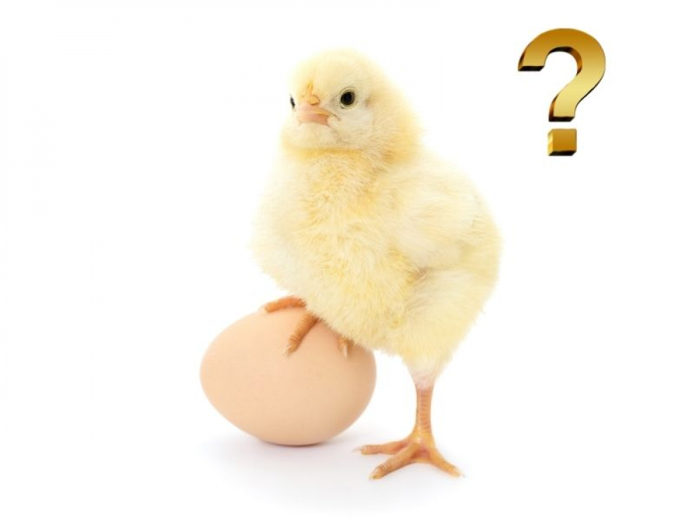 Conviene prima comprare e poi vendere o prima vendere e poi comprare? Ovvero è nato prima l’uovo o la gallina?